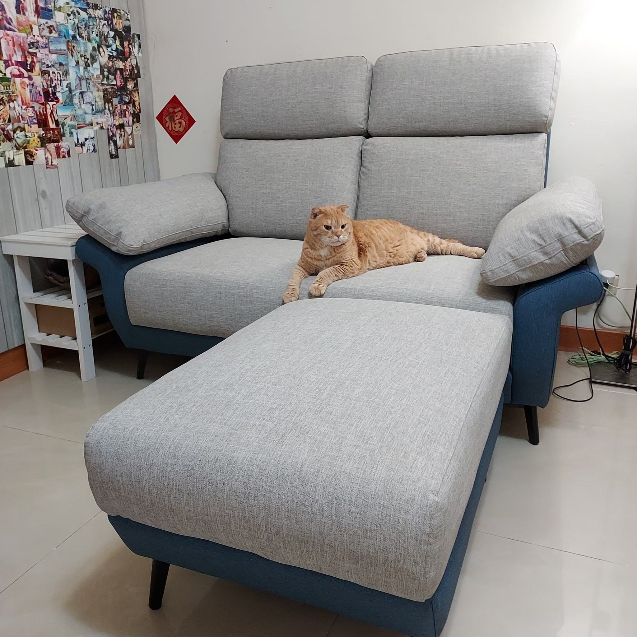 客廳 沙發｜L型貓抓皮沙發｜伊俐傢家居