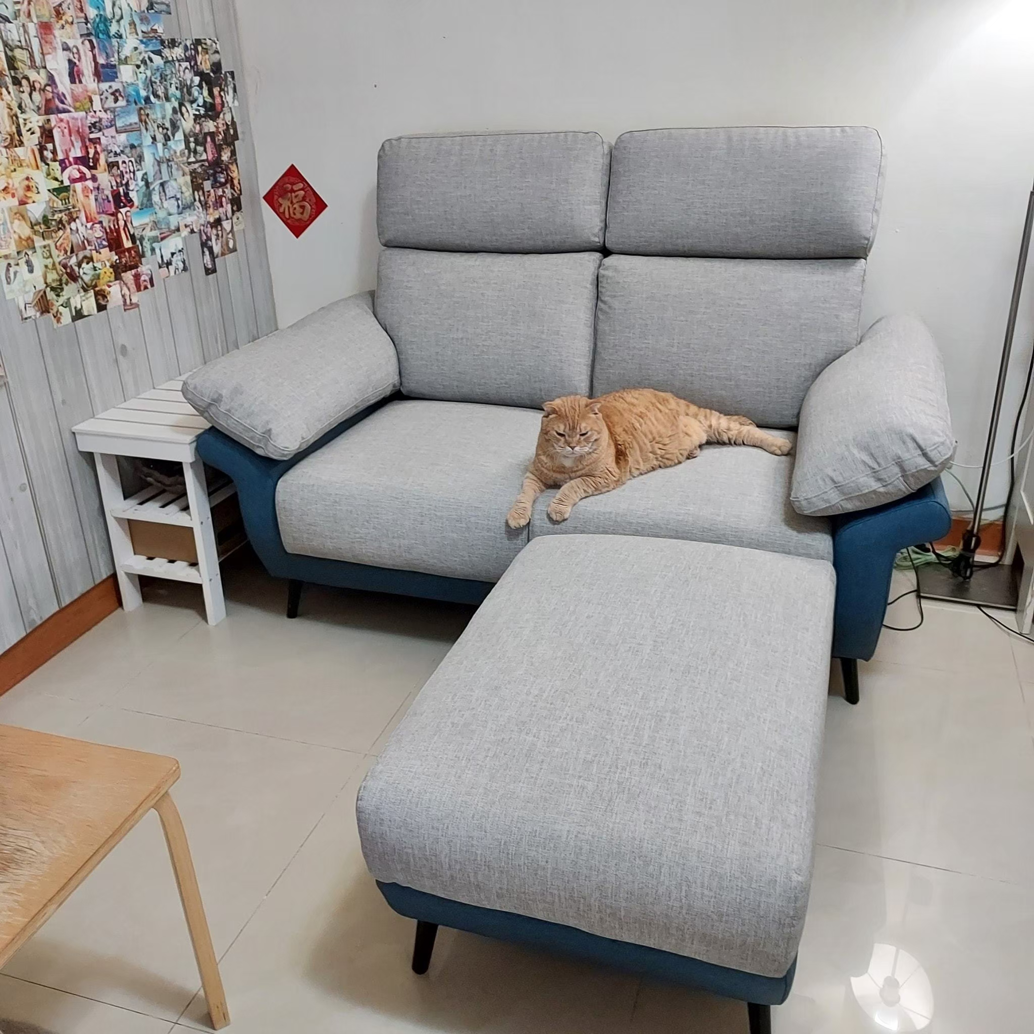 客廳 沙發｜L型貓抓皮沙發｜伊俐傢家居