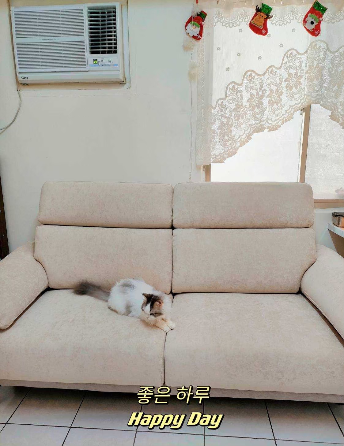 客廳 沙發｜3人座貓抓布沙發｜伊俐傢家居